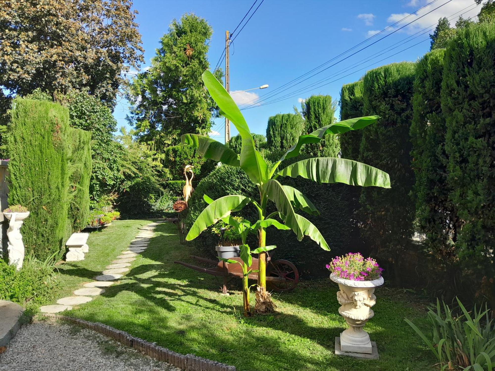 Le Madrigal Bed & Breakfast Mamers Luaran gambar